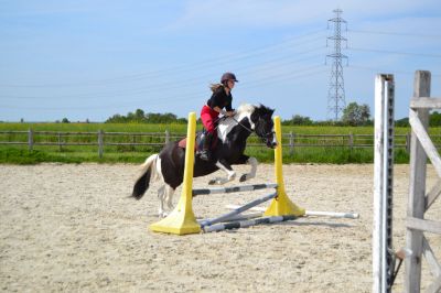 Cours de saut : Louna et Gorky 