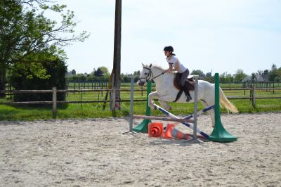 Cours de saut : Romane et Pixies 