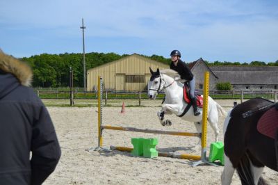 Cours de saut : Loane et Pookie 