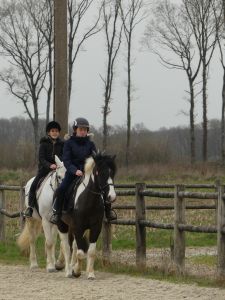 Cours des plus jeunes du mercredi après-midi 