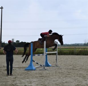 Cours de saut : Caroline et Bogoss