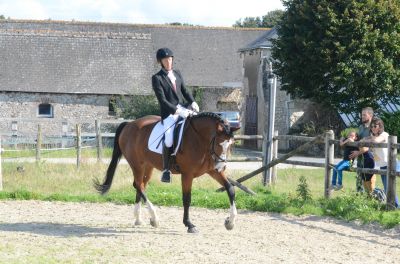 Luc en dressage 